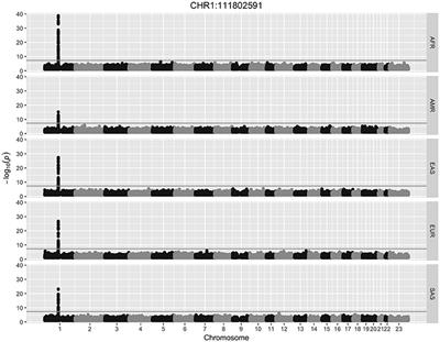 To ERV Is Human: A Phenotype-Wide Scan Linking Polymorphic Human Endogenous Retrovirus-K Insertions to Complex Phenotypes